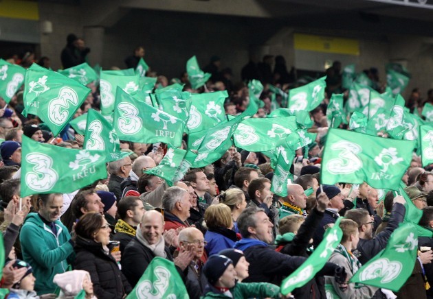 Ireland fans wave flags