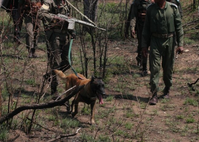 South Africa Dogs and Rhinos