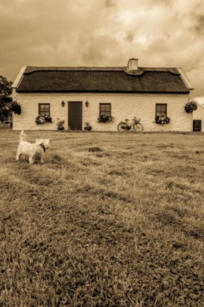 Runner Up of the Youth Category in the 2014 National Heritage Week Photo Competition was Alice Corley from Mayo  with her image 'Old Cottage'