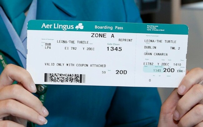 Aer Lingus Turtle 4