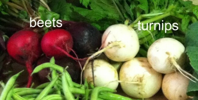 7168230616_6f4e59ee46_o