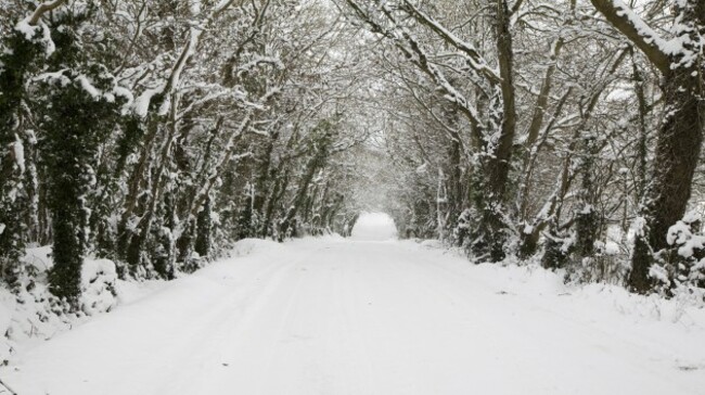 Snow Scenes The Big Freeze Part 2