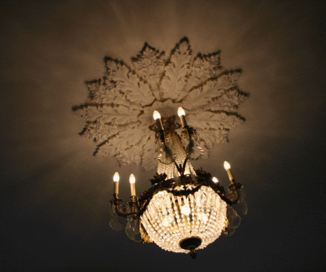 leeson st gif 2