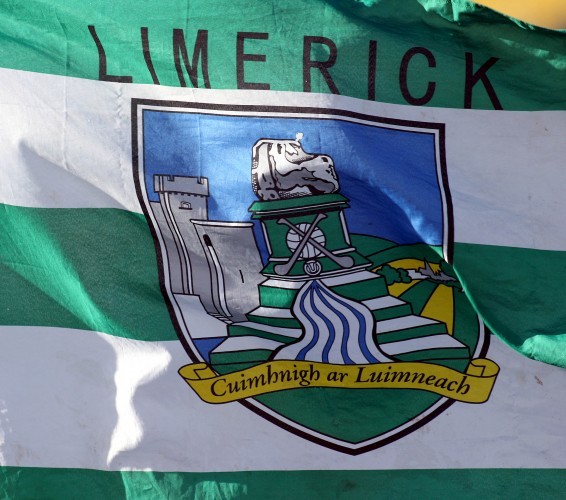 General view of a Limerick flag 12/7/2008
