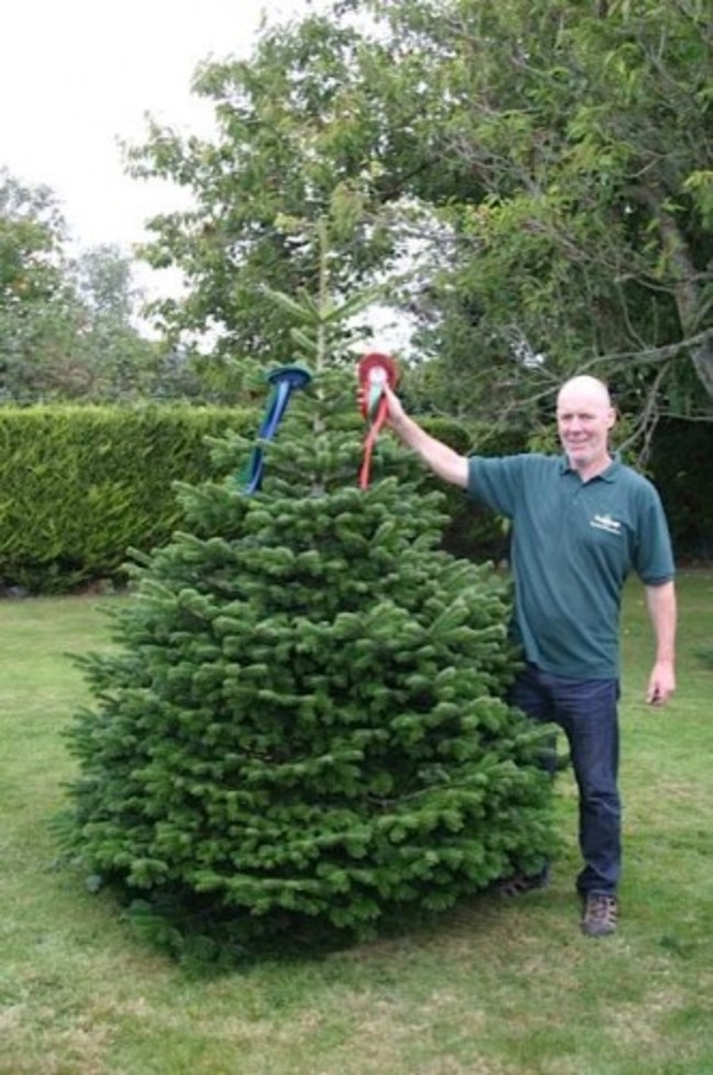 Irish Christmas Trees's Photos - Irish Christmas Trees | Facebook