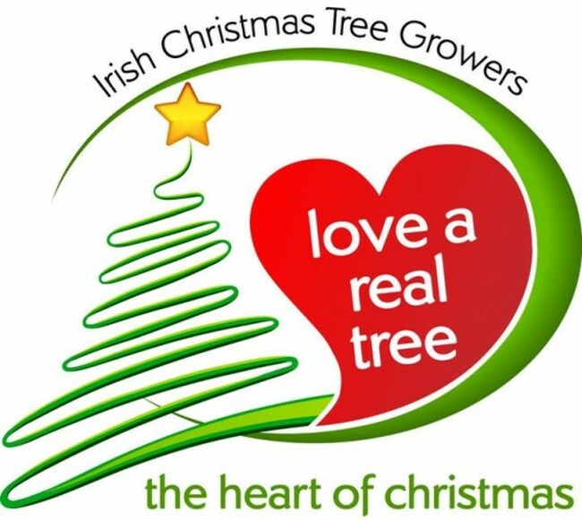 Irish Christmas Trees's Photos - Irish Christmas Trees | Facebook