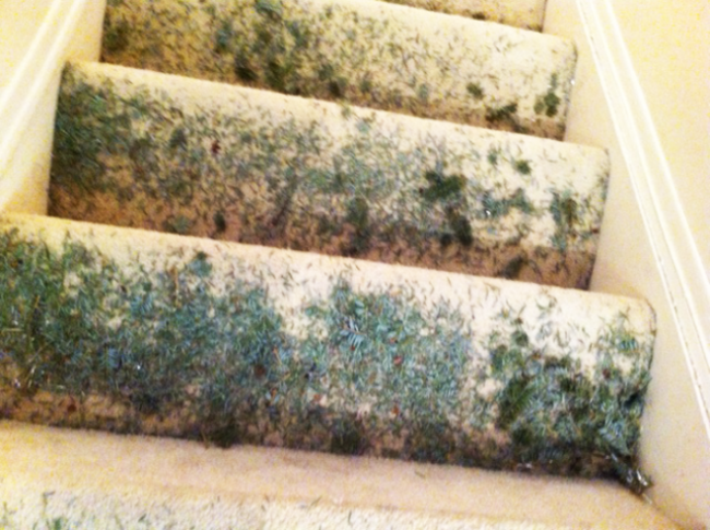 christmas-tree-carpet-mess