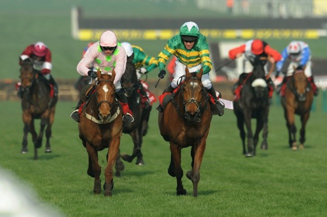 Horse Racing - 2014 Cheltenham Festival - St Patrick's Day - Cheltenham Racecourse