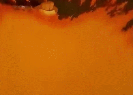 burn5