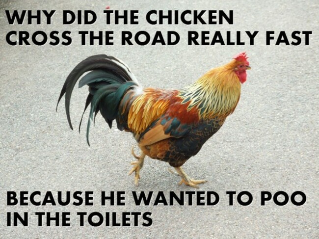 chickentoilet