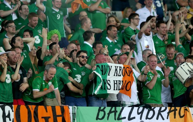Ireland fans celebrate Aiden McGeady's late goal