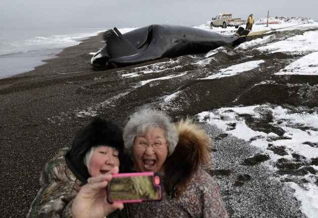 Evergreen Enterprise Alaska Whale Photo Gallery