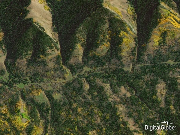 satellites-are-often-used-to-monitor-the-environment-as-they-can-show-widespread-changes-in-habitats-over-time-like-deforestation-this-image-is-of-the-forested-countryside-of-alberta-canada-shown-oct-10-2014
