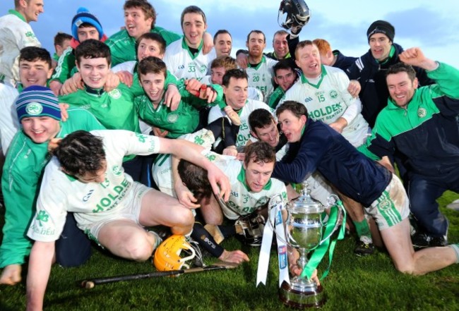 Ballyhale Shamrocks players celebrate with the cup