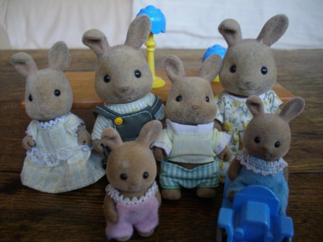 Brown rabbits family