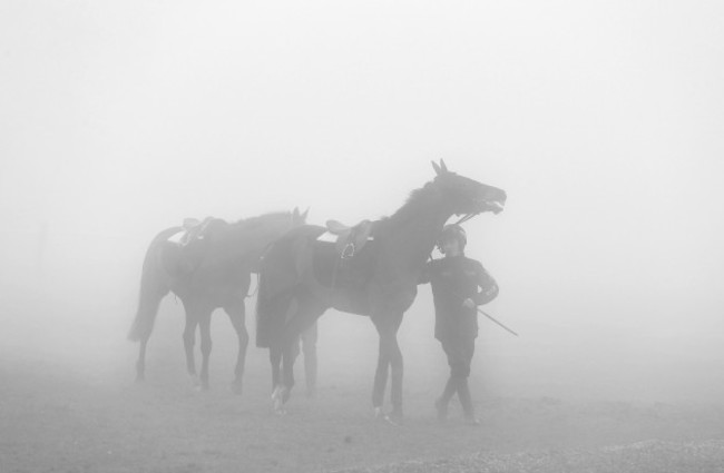 Horses out on the Cheltenham gallops on a foggy morning 19/122014