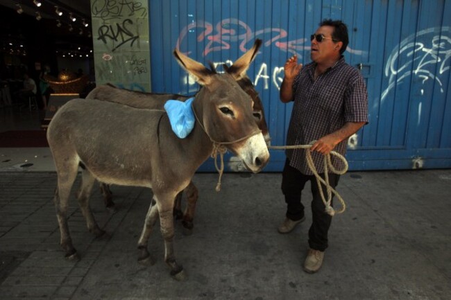 APTOPIX Chile Donkey Milk Photo Essay