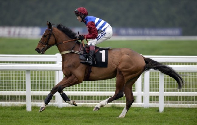 Horse Racing - The bet365 Hennessy Festival - Day Two - Newbury Racecourse