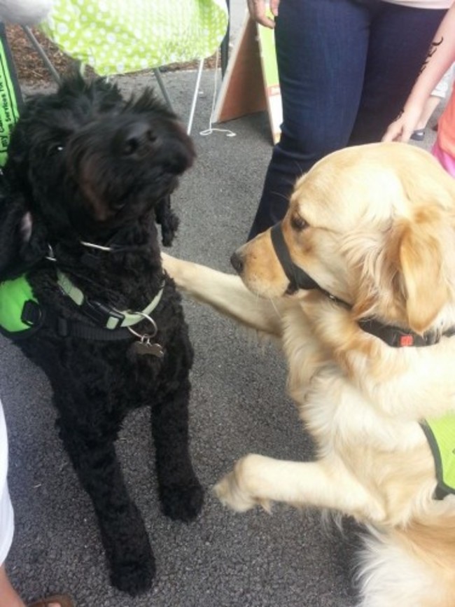 10458493_10202796069677650_5982438197554363075_n