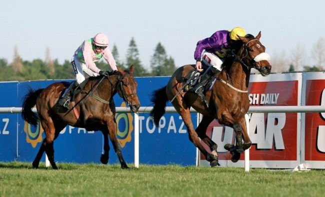 Windsor Park ridden by Davy Russell comes home to win