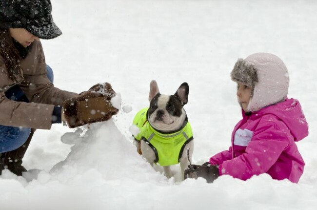 Romania Weather Snow