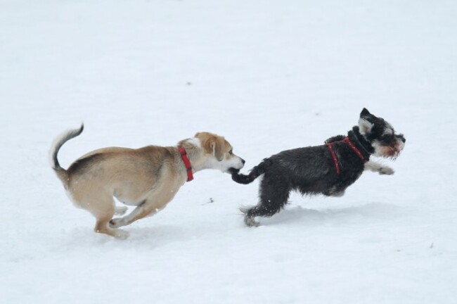 Winter Idyl at park Maksimir - Croatia
