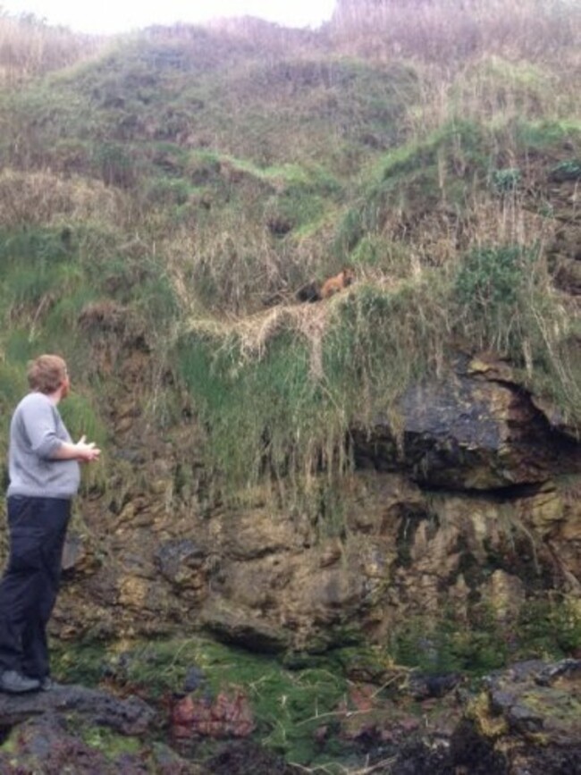 cliff