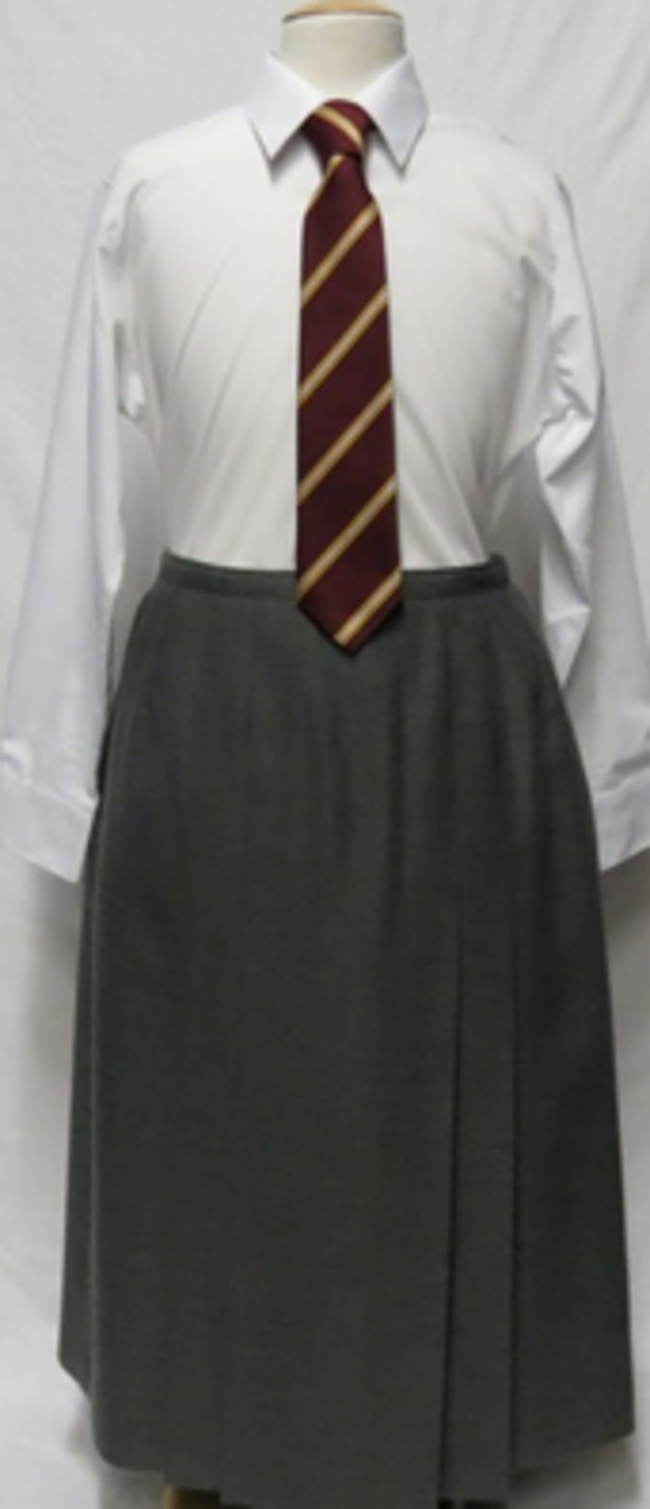 skirt