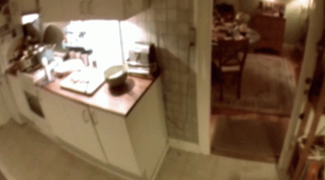 doghouse gif 2