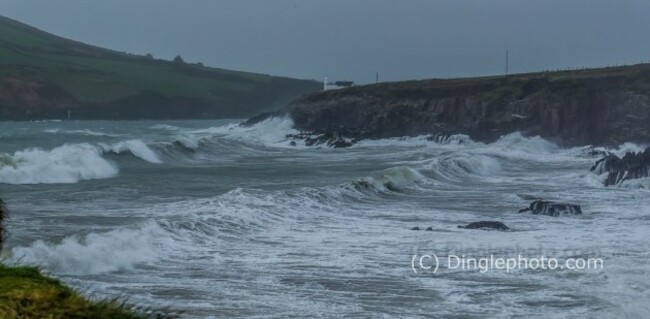 dingle