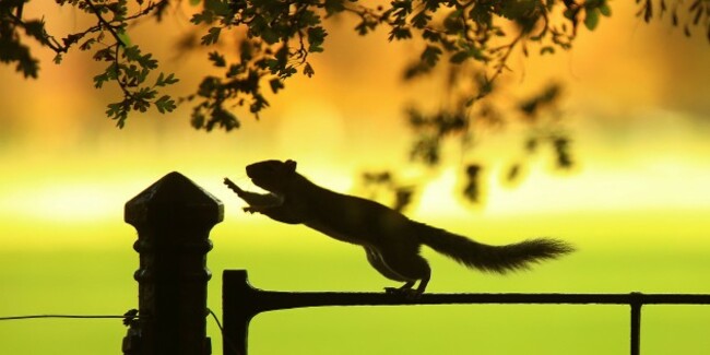 Autumn weather Oct 23rd 2014