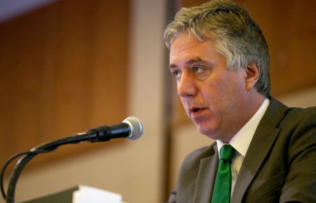 FAI CEO John Delaney 26/7/2014