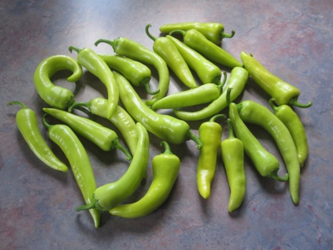 Banana_Peppers_20120903