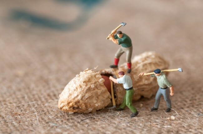 shutterstock_124900367