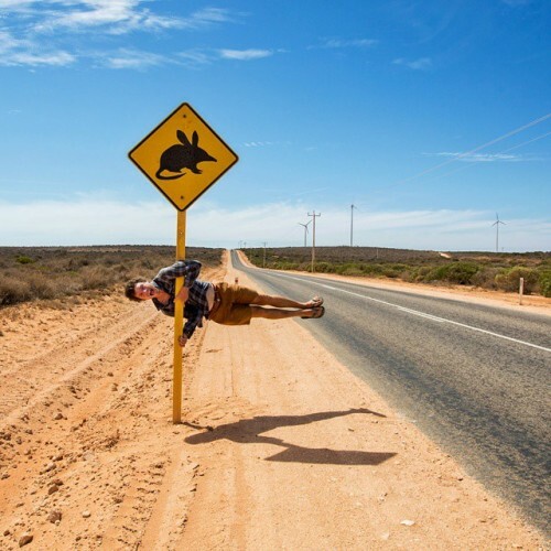 New Year. New crazy you. At first we didn't know what animal that sign was for. Turns out it's a Bilby, if you've ever heard of them? Looks like a funny little critter. #bilby #animalsign #what?!