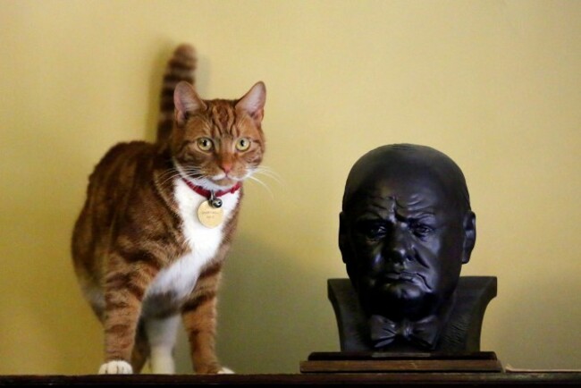 Winston Churchill's death anniversary