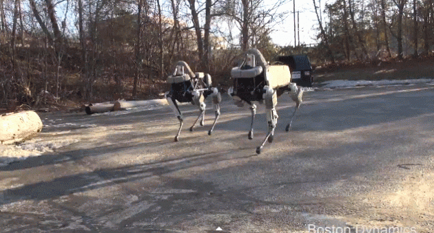 kicking robot dog