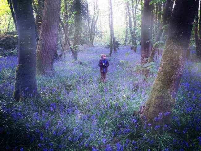 A Walk In The Woods At Charleville Estate (1)