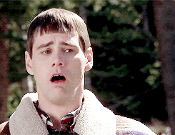 Dumb And Dumber Animated GIF