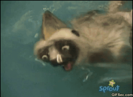 GIF-My-reaction-when-my-apartment-only-has-cold-water-to-wash-my-face-in-the-morning