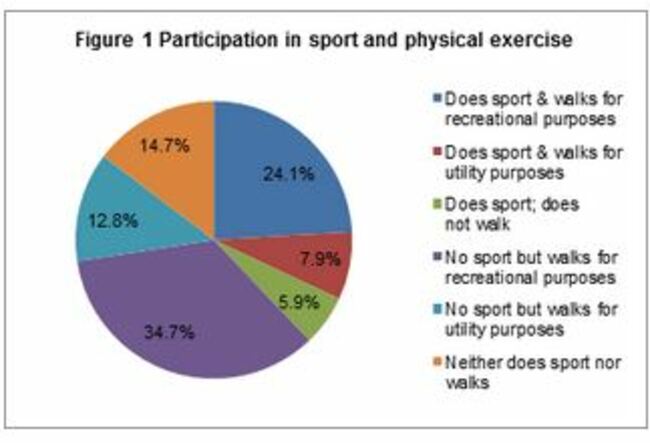 cso sport
