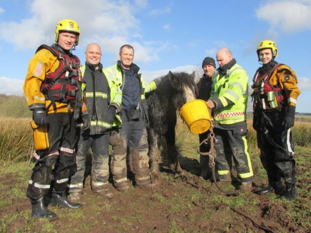 PHOTOS: Cork Firefighters Rescue Horse Stuck In River · TheJournal.ie