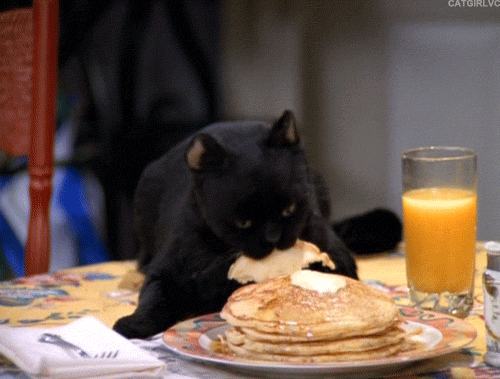what-could-be-better-than-pancake-cat