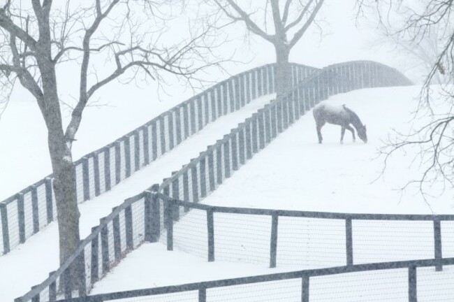 Winter Weather Kentucky