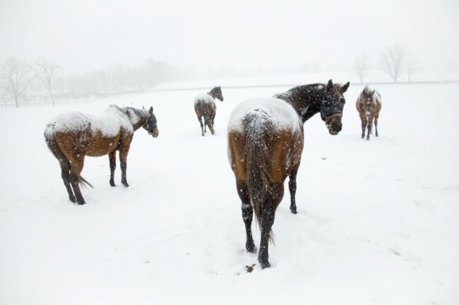 Winter Weather Kentucky