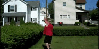 cutting the hedges