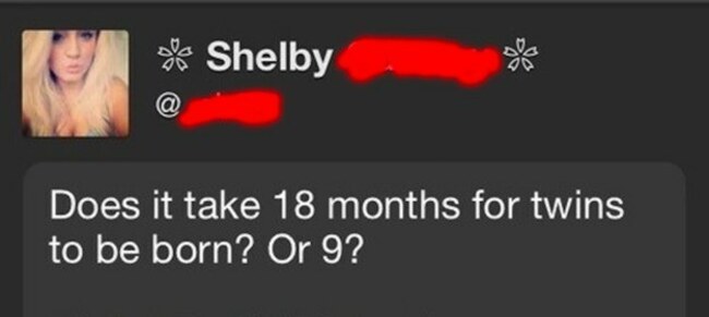 shelby