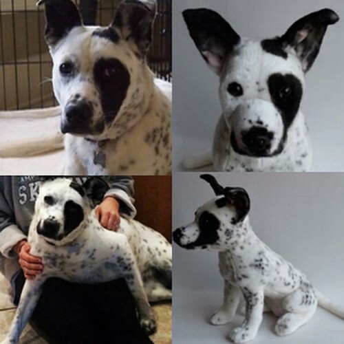 make a stuffed animal of your dog