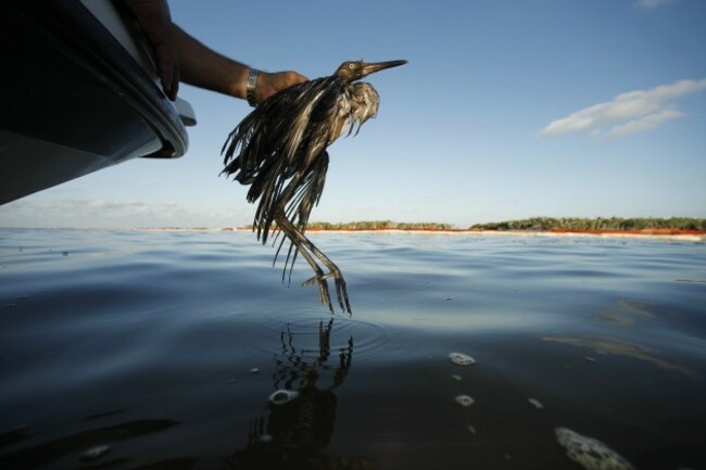 Gulf Oil Spill BP Moving On