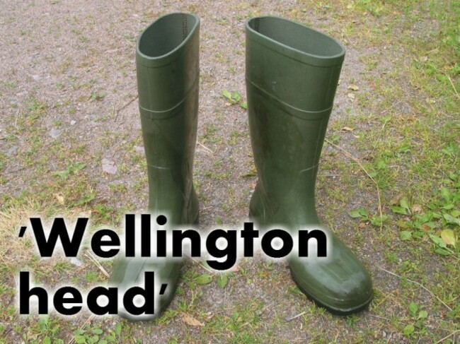 wellington